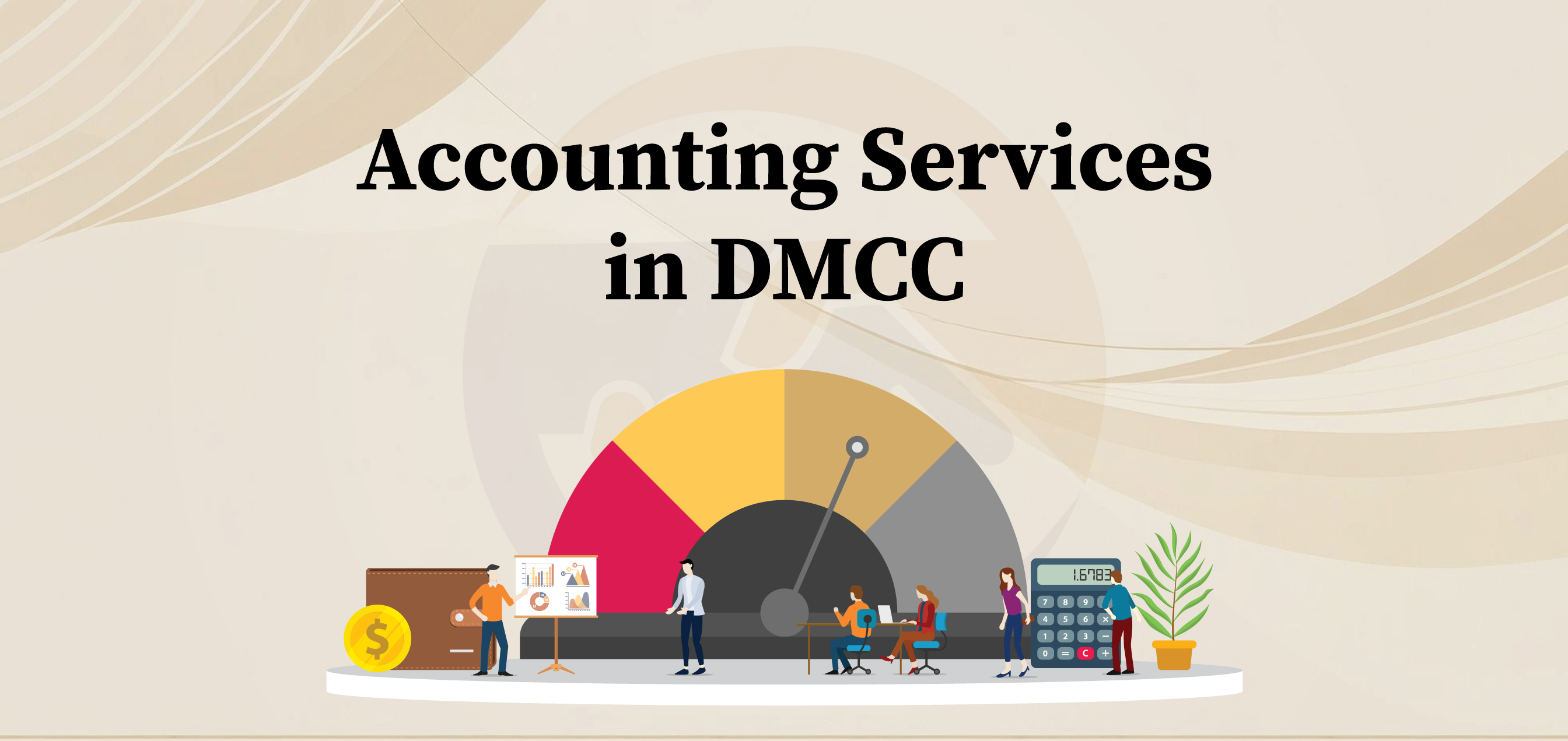 accounting-services-in-dmcc